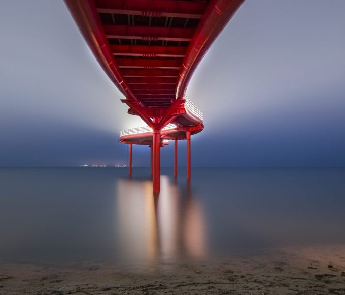 The Most Important Amicus Brief in the History of the World