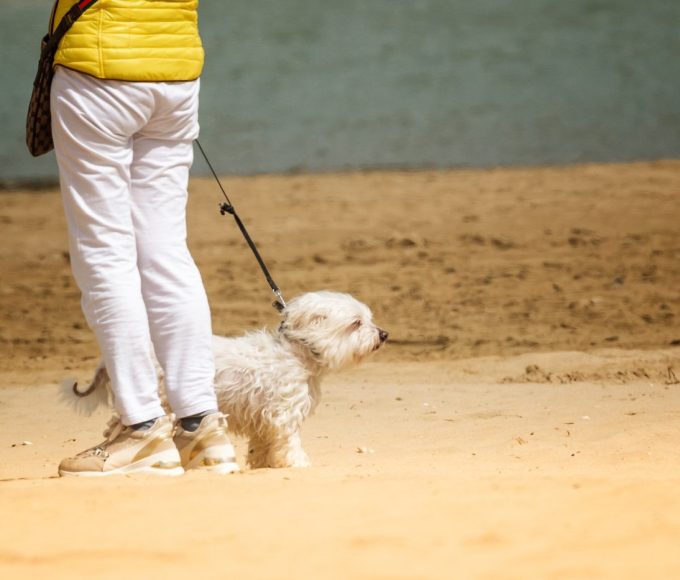 How To Season 3: When Expectations Don’t Meet Reality